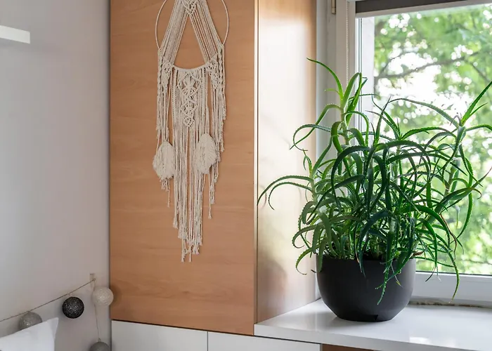 Nature & By Renters *